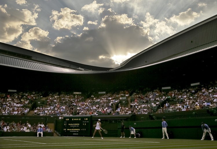 Cược tennis: ederer đang là nhà ĐKVĐ và giữ kỷ lục 8 lần đăng quang Wimbledon trong kỷ nguyên Mở