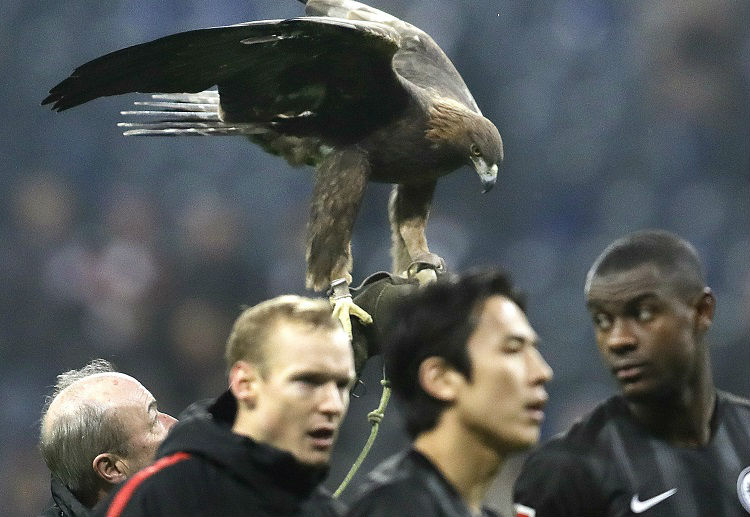 Host Eintracht Frankfurt managed to held Bundesliga leaders Borussia Dortmund in a 1-1 draw at Commerzbank-Arena