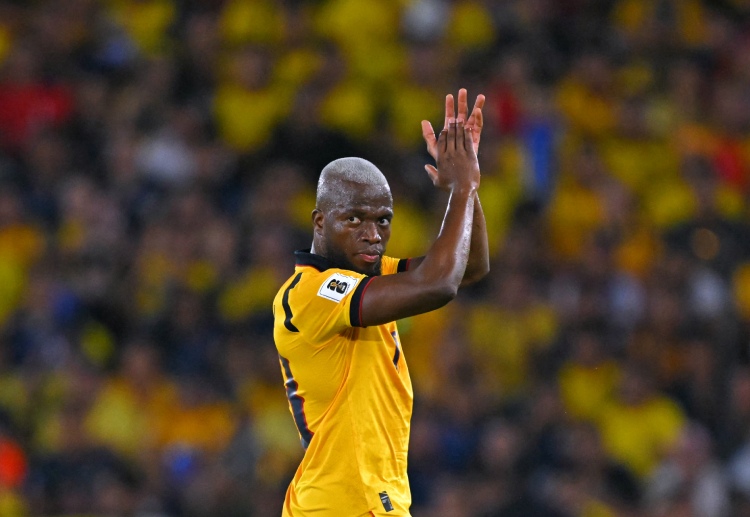 Ecuador đá trận giao hữu quốc tế tháng 10 với Mỹ